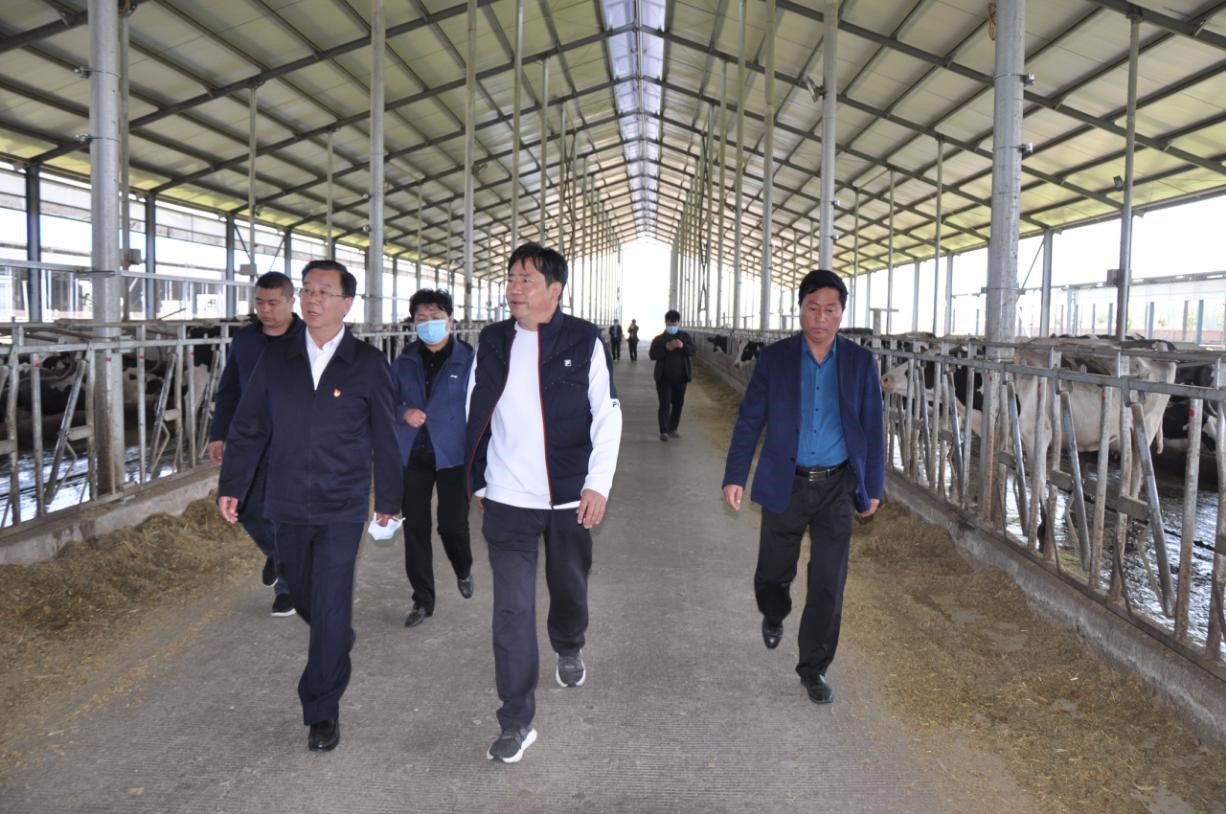 商丘市委常委、宣傳部部長王全周一行蒞臨睢縣瑞亞牧業(yè)有限公司調研