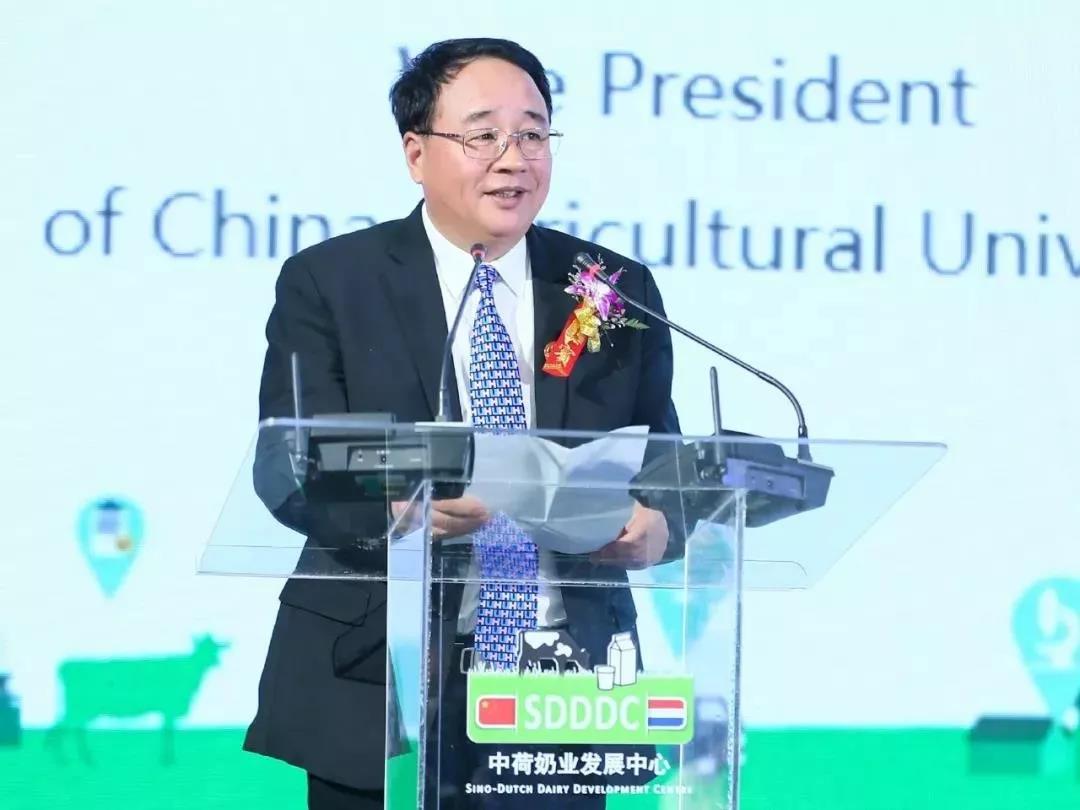 SDDDC走進(jìn)河南，看看花花牛的國際范兒！
