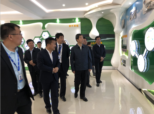 河南省委副書記、省長陳潤兒一行蒞臨 花花牛集團魯山瑞亞牧業(yè)有限公司視察調(diào)研