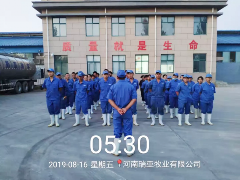 小晨會(huì)·大能量——砥礪奮進(jìn)的花花牛，加油！